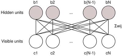 Software techniques for training restricted Boltzmann machines on size-constrained quantum annealing hardware
